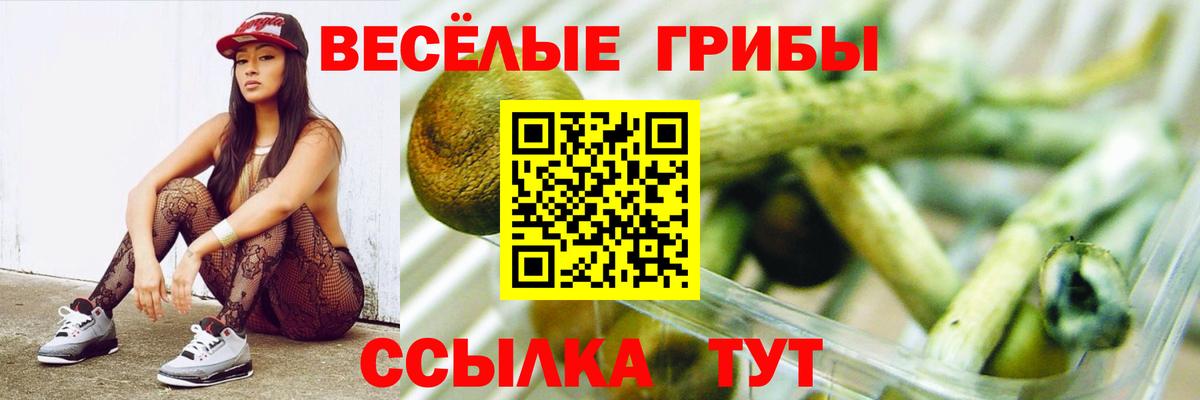Галлюциногенные грибы прущие грибы  Галлюциногенные грибы Psilocybe  Вход с VPN  Подольск 